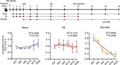 Antituberculosis Therapy and Gut Microbiota: Review of Potential Host Microbiota Directed-Therapies